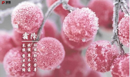 貝朗自動化設(shè)備——霜降 貝朗自動化設(shè)備——霜降