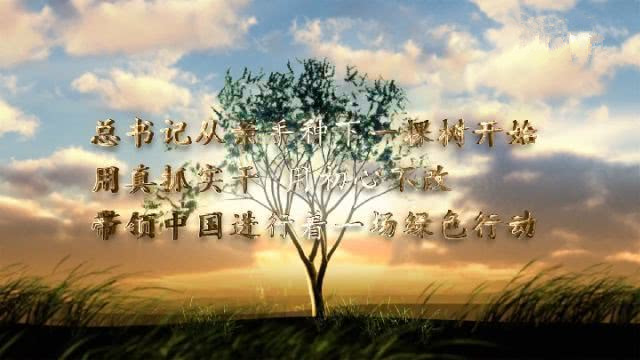 觀看微視 頻《眾人植樹樹成林》——觀后感 觀看微視 頻《眾人植樹樹成林》——觀后感