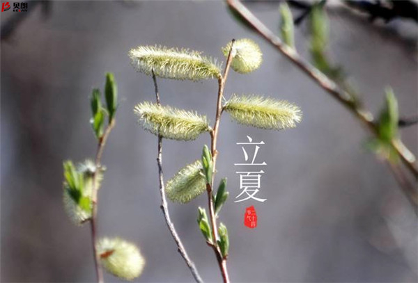 二十四節氣立夏,那些您不知道的習俗 二十四節氣立夏,那些您不知道的習俗